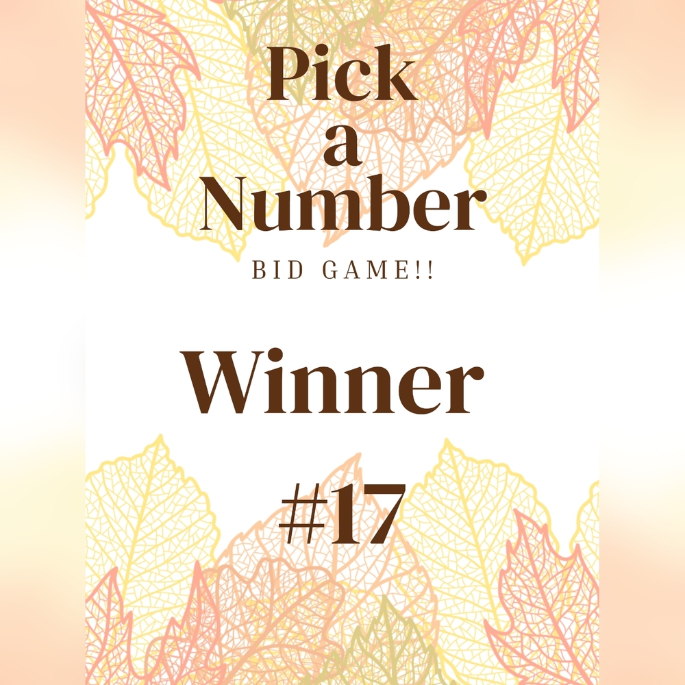 Winner #17